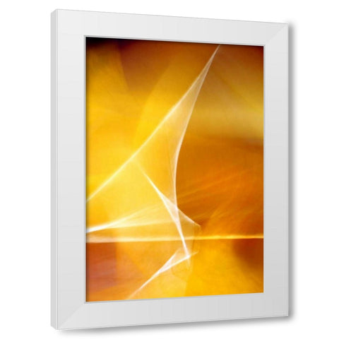 Amber Refraction II White Modern Wood Framed Art Print by Taylor, Douglas