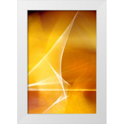 Amber Refraction II White Modern Wood Framed Art Print by Taylor, Douglas
