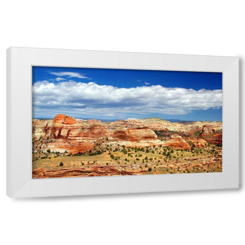 Slickrock County White Modern Wood Framed Art Print by Taylor, Douglas