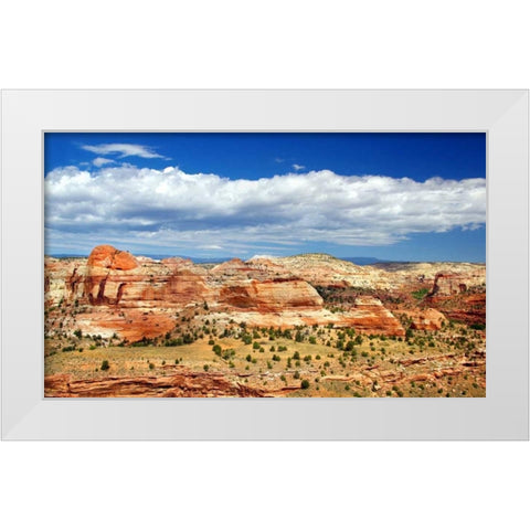 Slickrock County White Modern Wood Framed Art Print by Taylor, Douglas