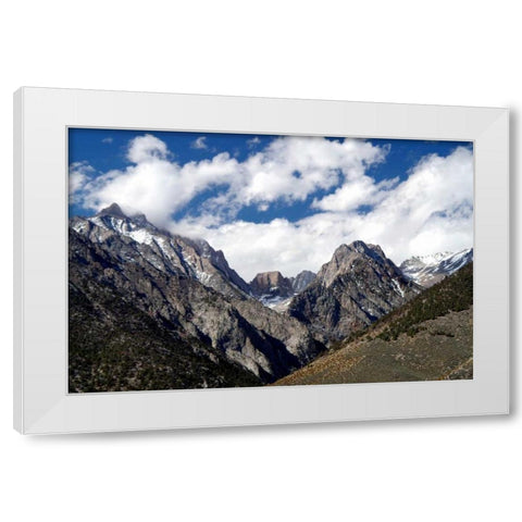 High Sierra Spring White Modern Wood Framed Art Print by Taylor, Douglas