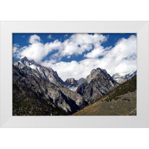 High Sierra Spring White Modern Wood Framed Art Print by Taylor, Douglas
