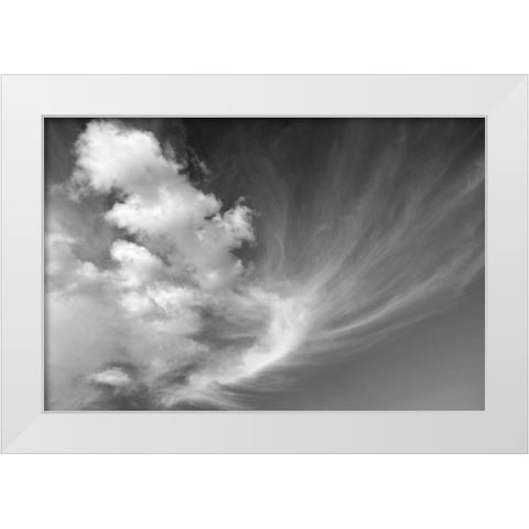 Clouds over Kitt Peak BW I White Modern Wood Framed Art Print by Taylor, Douglas