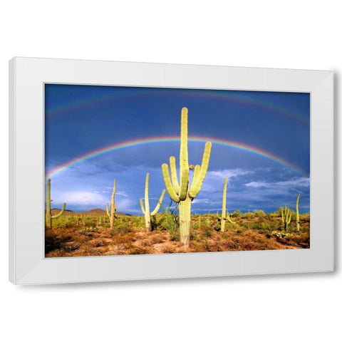 Desert Blessing I White Modern Wood Framed Art Print by Taylor, Douglas