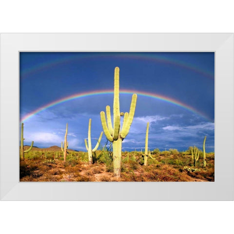 Desert Blessing I White Modern Wood Framed Art Print by Taylor, Douglas