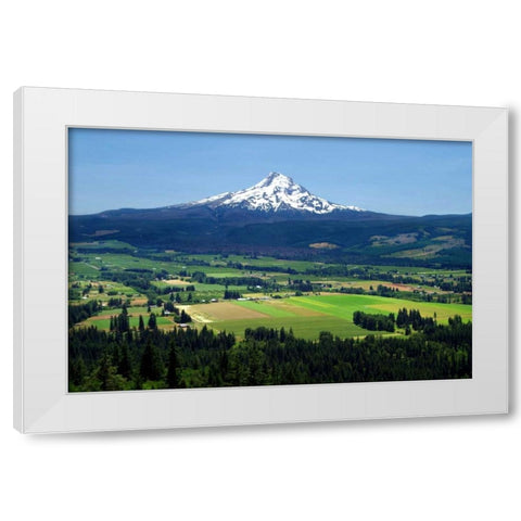 Hood River White Modern Wood Framed Art Print by Taylor, Douglas