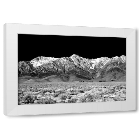 Owens Valley BW White Modern Wood Framed Art Print by Taylor, Douglas