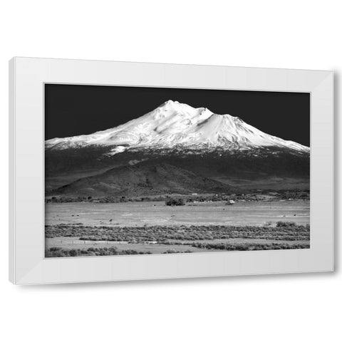 Shasta County Spring BW White Modern Wood Framed Art Print by Taylor, Douglas