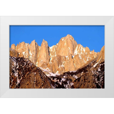 Mt. Whitney Morning Light White Modern Wood Framed Art Print by Taylor, Douglas