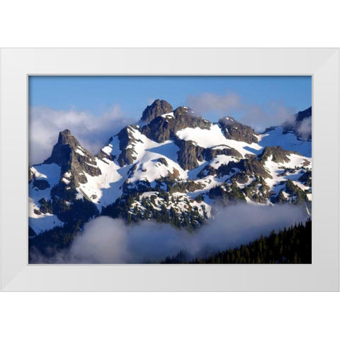 Goat Island White Modern Wood Framed Art Print by Taylor, Douglas