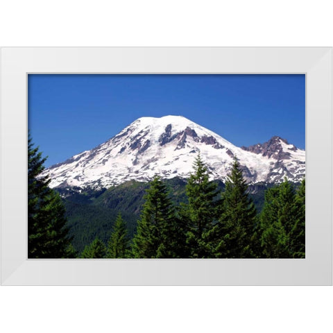 Road to Paradise White Modern Wood Framed Art Print by Taylor, Douglas