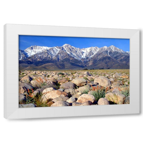 Independence Morning White Modern Wood Framed Art Print by Taylor, Douglas