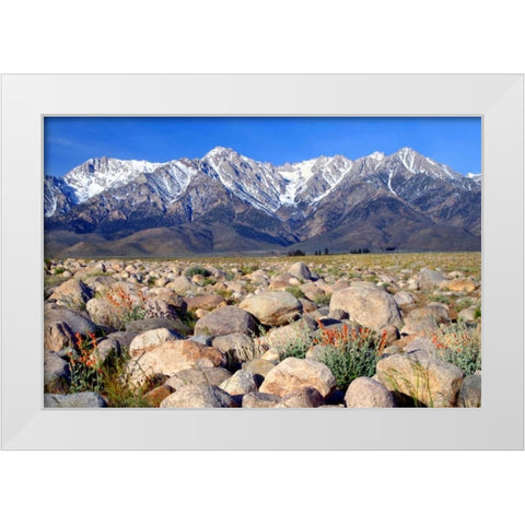 Independence Morning White Modern Wood Framed Art Print by Taylor, Douglas