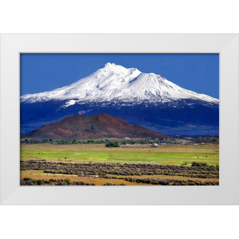 Shasta County Spring White Modern Wood Framed Art Print by Taylor, Douglas