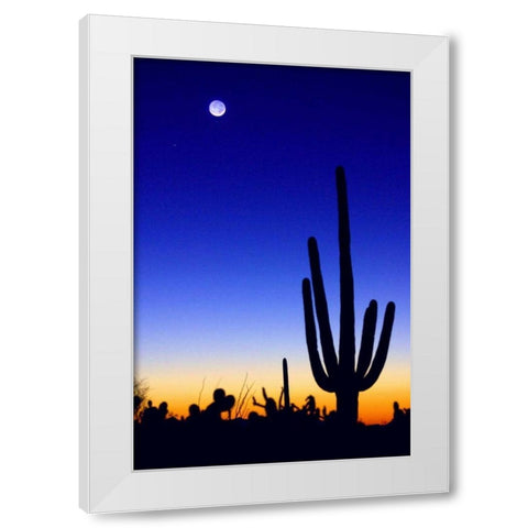 Winter Earthshine White Modern Wood Framed Art Print by Taylor, Douglas