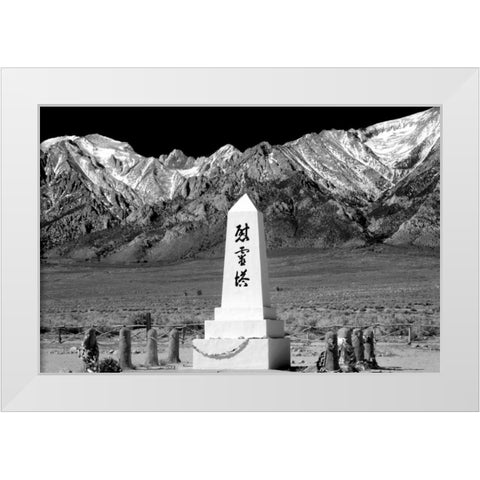 Remembrance II BW White Modern Wood Framed Art Print by Taylor, Douglas