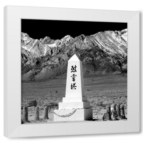 Remembrance III BW White Modern Wood Framed Art Print by Taylor, Douglas