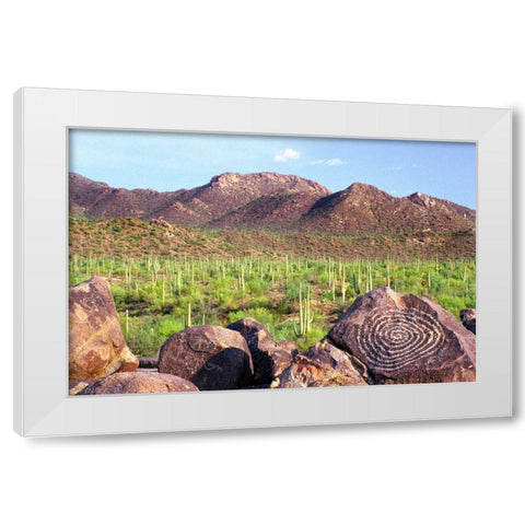 Signal Hill White Modern Wood Framed Art Print by Taylor, Douglas