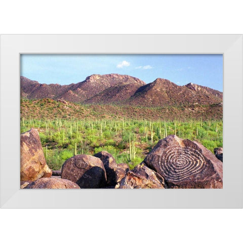 Signal Hill White Modern Wood Framed Art Print by Taylor, Douglas
