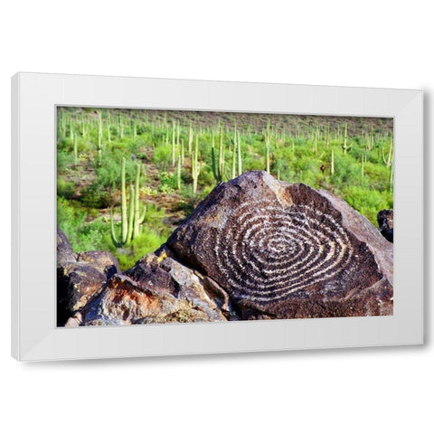 Hohokam Petroglyph White Modern Wood Framed Art Print by Taylor, Douglas