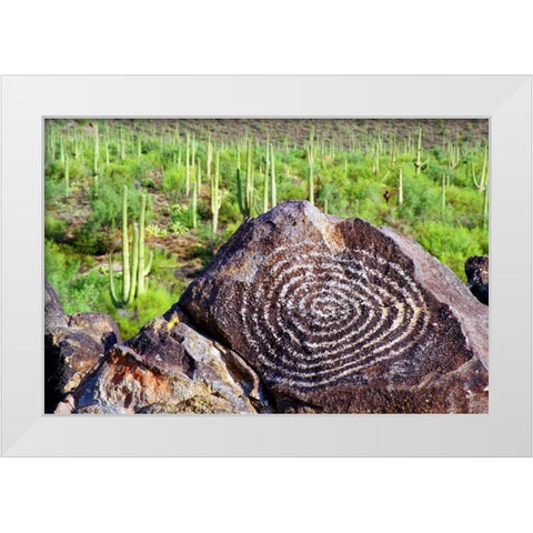 Hohokam Petroglyph White Modern Wood Framed Art Print by Taylor, Douglas