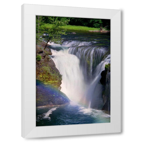 Lewis River Falls White Modern Wood Framed Art Print by Taylor, Douglas