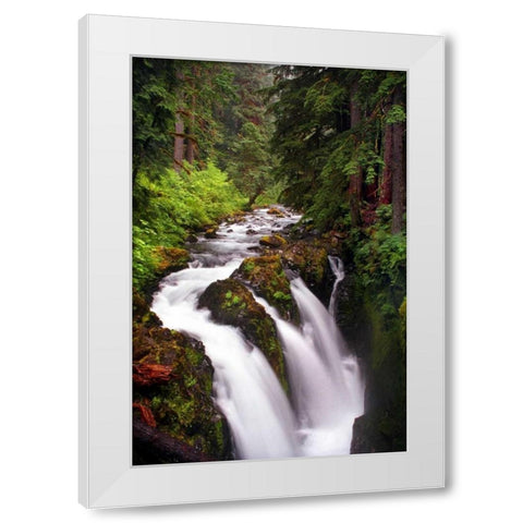 Sol Duc River Falls White Modern Wood Framed Art Print by Taylor, Douglas