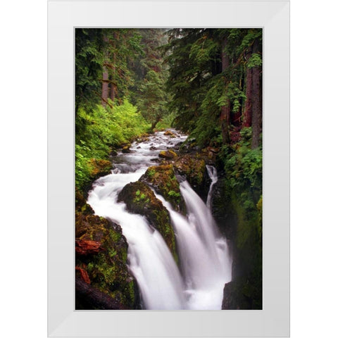 Sol Duc River Falls White Modern Wood Framed Art Print by Taylor, Douglas