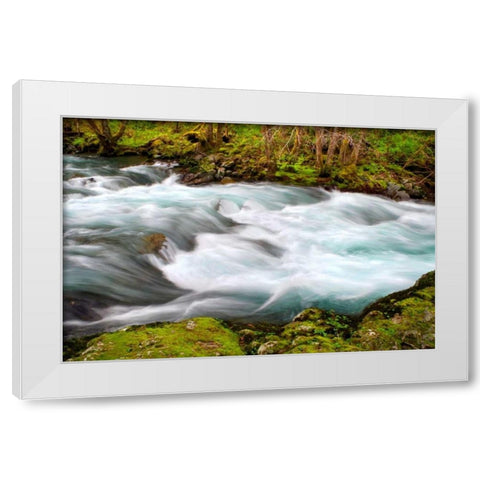 Rainforest River II White Modern Wood Framed Art Print by Taylor, Douglas