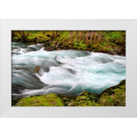 Rainforest River II White Modern Wood Framed Art Print by Taylor, Douglas