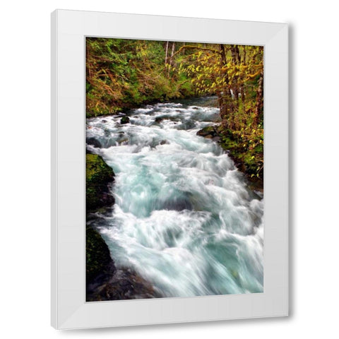 Hamma Hamma River White Modern Wood Framed Art Print by Taylor, Douglas