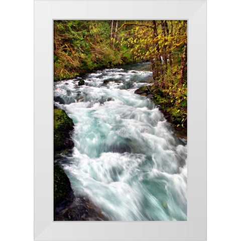 Hamma Hamma River White Modern Wood Framed Art Print by Taylor, Douglas