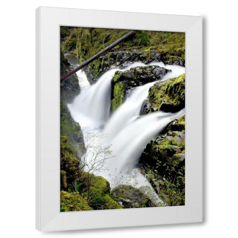 Sol Duc Falls I White Modern Wood Framed Art Print by Taylor, Douglas