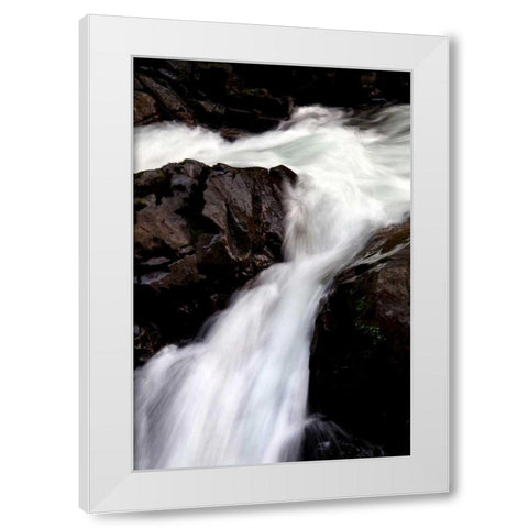Sol Duc Falls II White Modern Wood Framed Art Print by Taylor, Douglas
