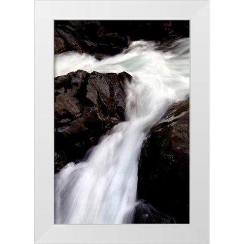 Sol Duc Falls II White Modern Wood Framed Art Print by Taylor, Douglas
