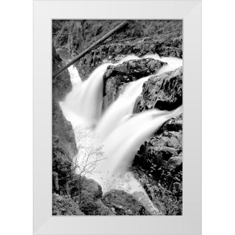 Sol Duc Falls I BW White Modern Wood Framed Art Print by Taylor, Douglas