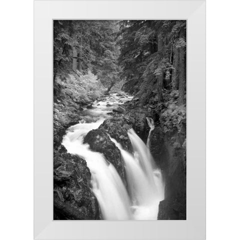 Sol Duc River Falls BW White Modern Wood Framed Art Print by Taylor, Douglas