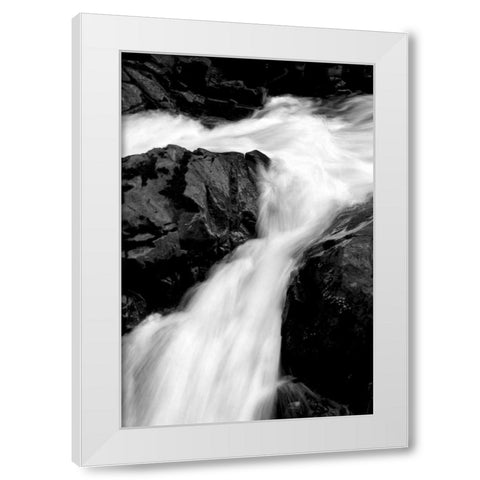 Sol Duc River II BW White Modern Wood Framed Art Print by Taylor, Douglas