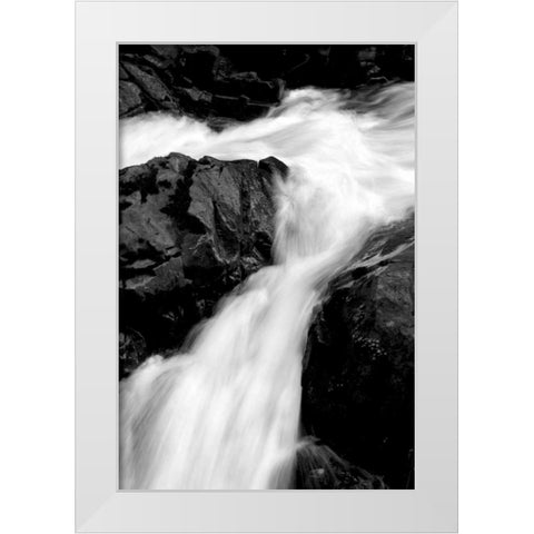 Sol Duc River II BW White Modern Wood Framed Art Print by Taylor, Douglas