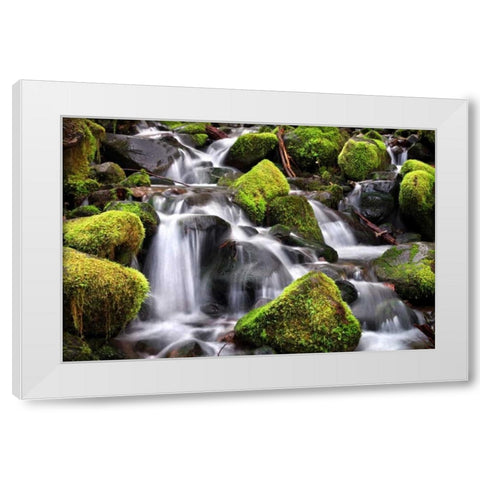Trailside Stream White Modern Wood Framed Art Print by Taylor, Douglas