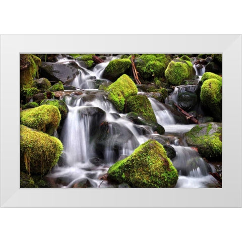 Trailside Stream White Modern Wood Framed Art Print by Taylor, Douglas