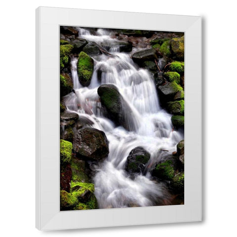 Trailside Waterfall I White Modern Wood Framed Art Print by Taylor, Douglas