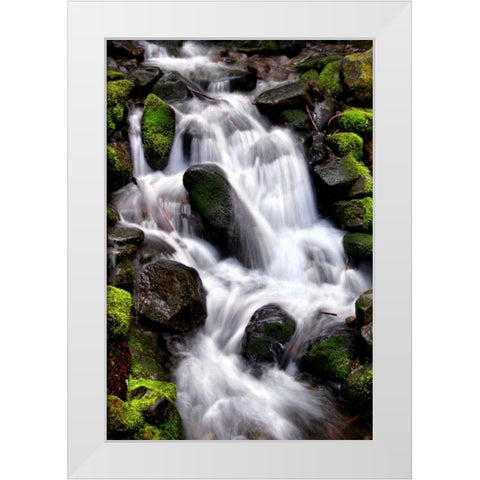 Trailside Waterfall I White Modern Wood Framed Art Print by Taylor, Douglas
