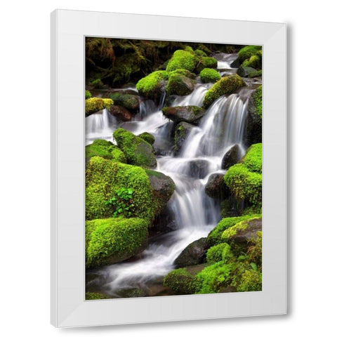 Trailside Waterfall II White Modern Wood Framed Art Print by Taylor, Douglas