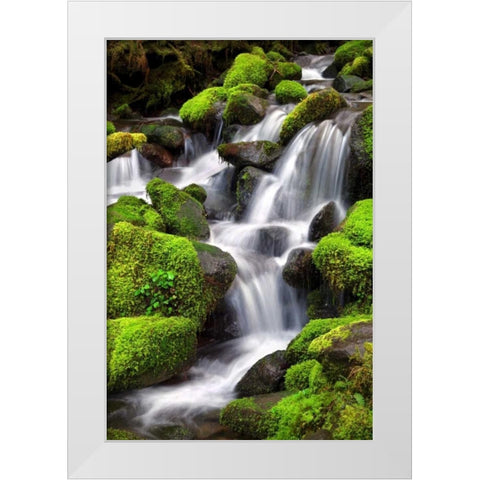 Trailside Waterfall II White Modern Wood Framed Art Print by Taylor, Douglas