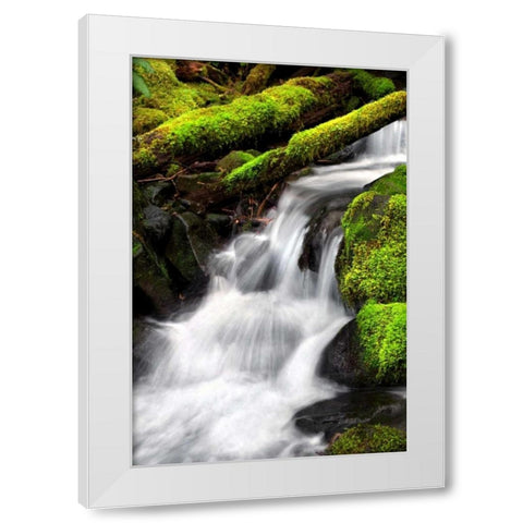 Trailside Waterfall III White Modern Wood Framed Art Print by Taylor, Douglas