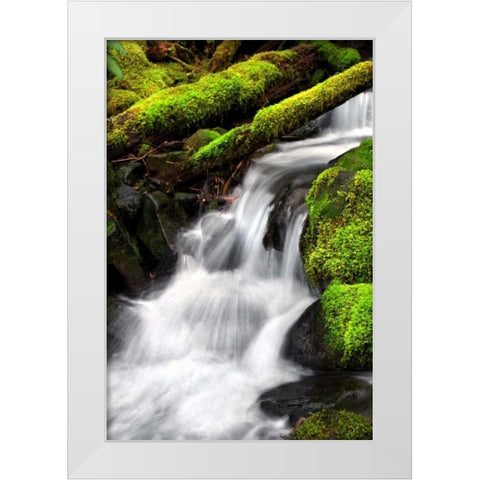 Trailside Waterfall III White Modern Wood Framed Art Print by Taylor, Douglas