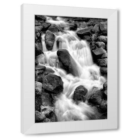 Trailside Waterfall I BW White Modern Wood Framed Art Print by Taylor, Douglas