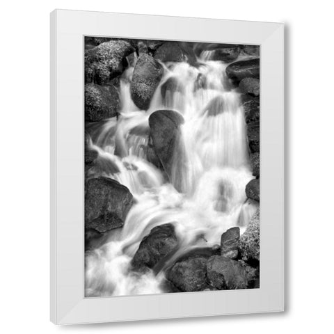 Trailside Waterfall IV BW White Modern Wood Framed Art Print by Taylor, Douglas