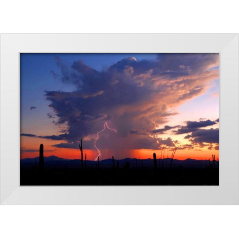 Twilight Lightning II White Modern Wood Framed Art Print by Taylor, Douglas